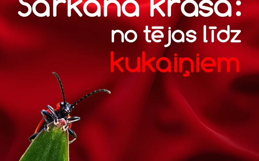 Kā radās sarkanā krāsa?