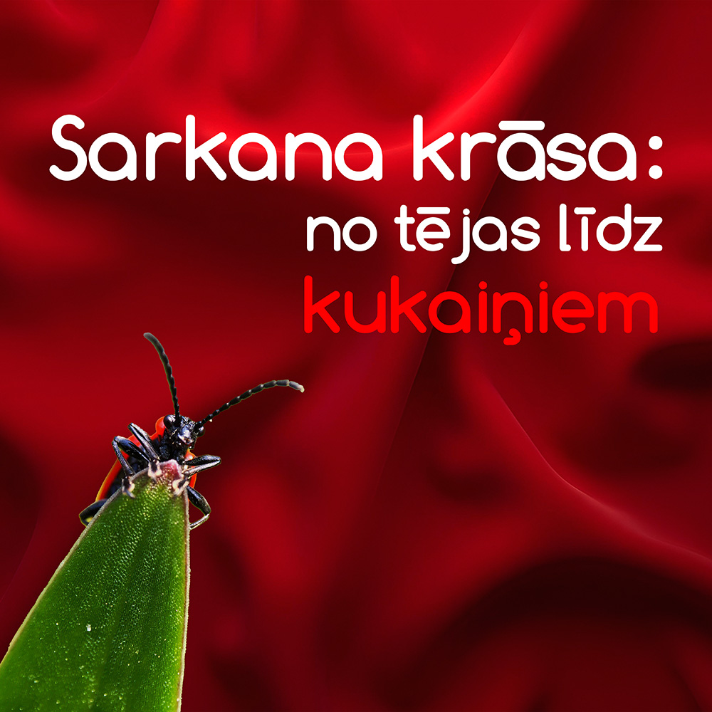 Kā radās sarkanā krāsa?
