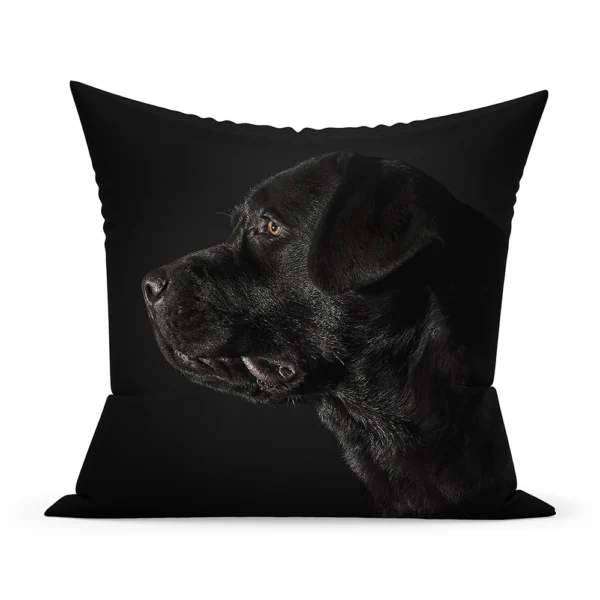 Spilvendrāna - melnais labradors