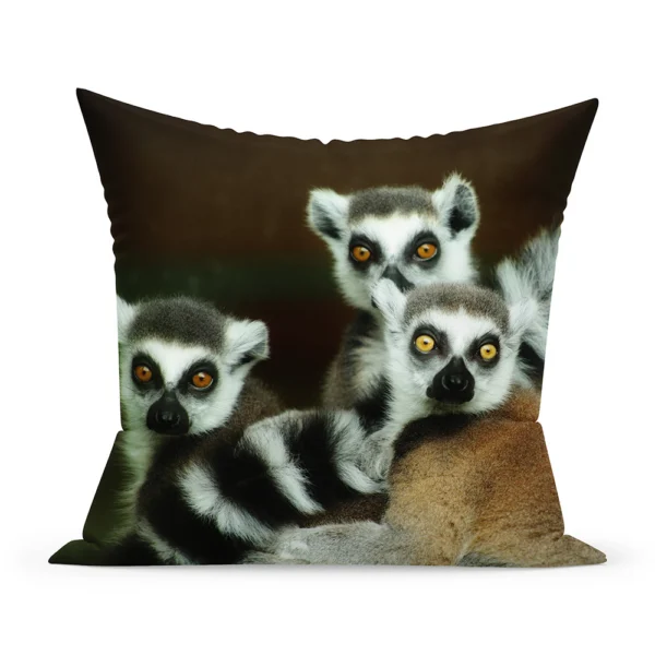 Spilvendrāna - lemuri